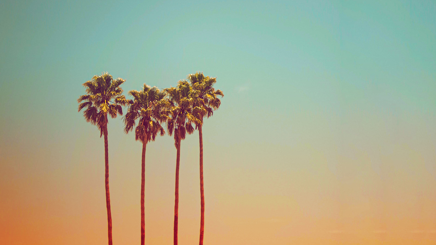 Digital holiday planning: include and engage employees